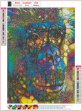 Full Diamond Painting kit - Orangutan