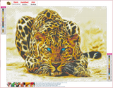 Full Diamond Painting kit - A Leopard