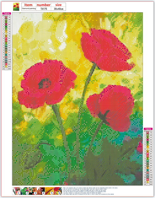 Full Diamond Painting kit - Beautiful red flower