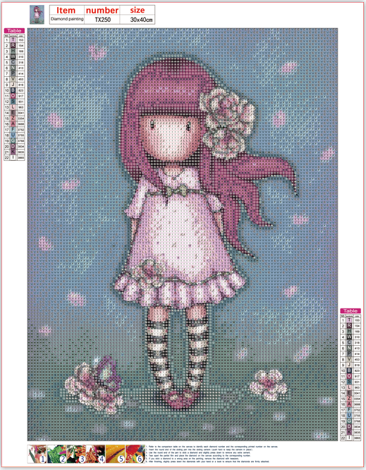 Full Diamond Painting kit - Gorjuss girl
