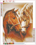 Full Diamond Painting kit - Two horses
