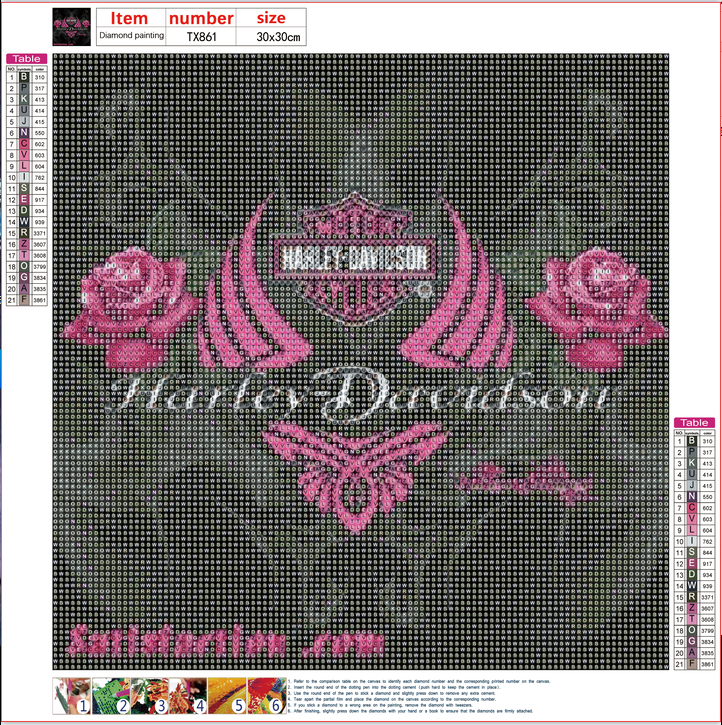 Full Diamond Painting kit - Black red rose