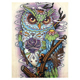 Crystal Rhinestone Diamond Painting Kit - Animal Owl - Hibah-Diamond painting art studio
