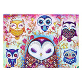 Crystal Rhinestone Diamond Painting Kit - Cartoon Owl (16x20inch)