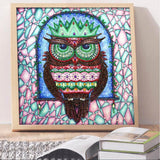 Crystal Rhinestone Diamond Painting Kit - Cartoon Owl - Hibah-Diamond painting art studio