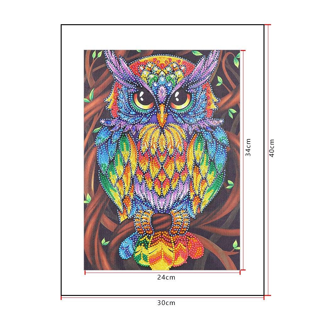 Crystal Rhinestone Diamond Painting Kit - Color owl - Hibah-Diamond painting art studio