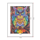 Crystal Rhinestone Diamond Painting Kit - Color owl - Hibah-Diamond painting art studio