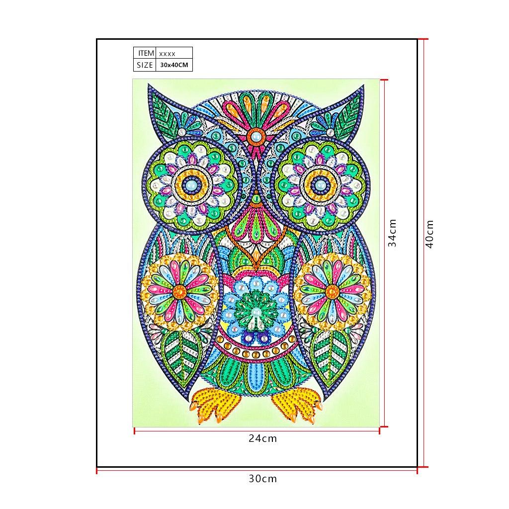 Crystal Rhinestone Diamond Painting Kit - Owl - Hibah-Diamond?painting art studio