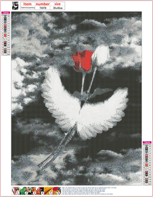 Full Diamond Painting kit - Flower angel
