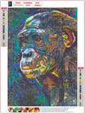 Full Diamond Painting kit - orangutan