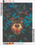 Full Diamond Painting kit - Monkey