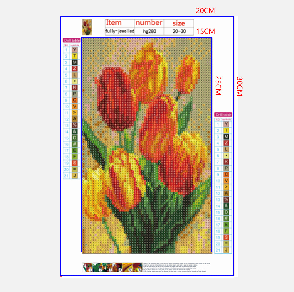 Full Diamond Painting kit - Flower tulip