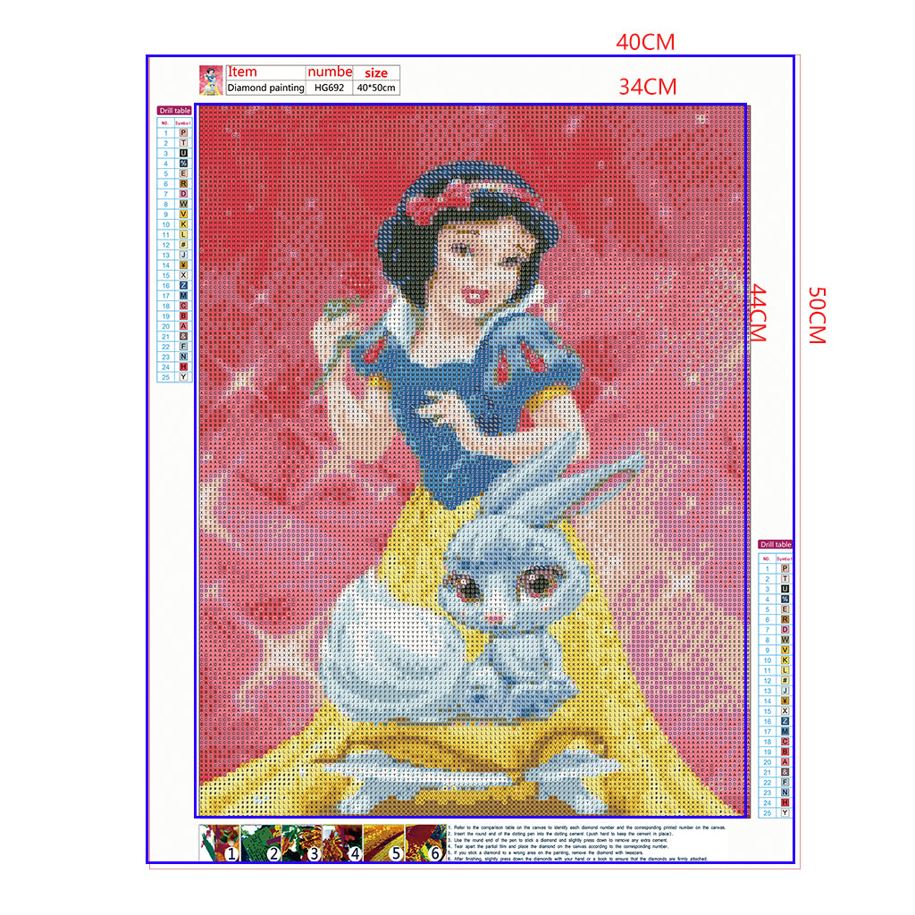 Full Diamond Painting kit - Snow White (16x20inch)
