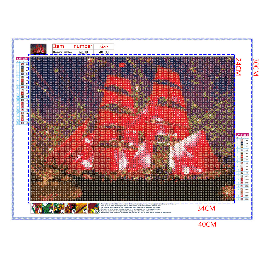 Full Diamond Painting kit - Celebrate on a sailing boat