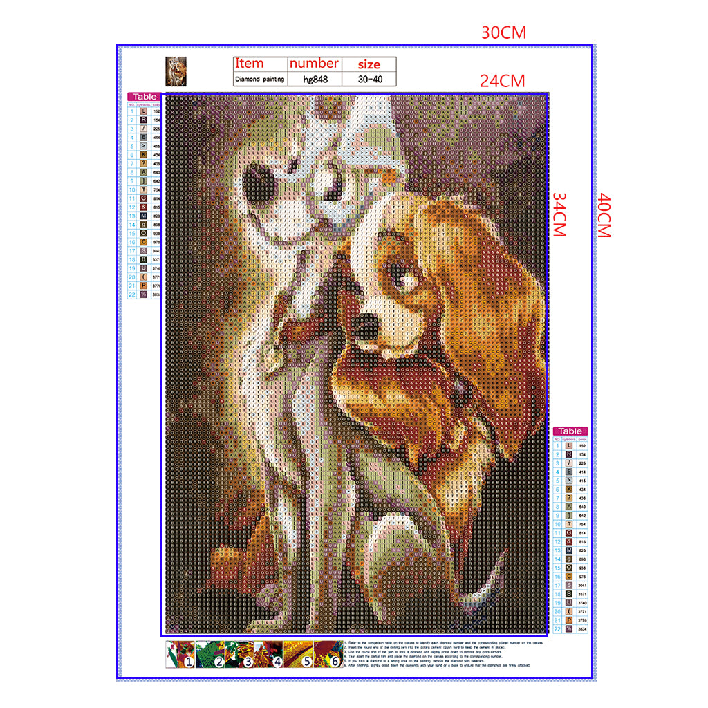 Full Diamond Painting kit - Lady and the Tramp