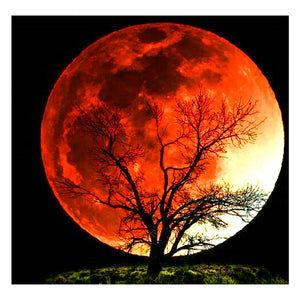 Full Diamond Painting kit - Big moon
