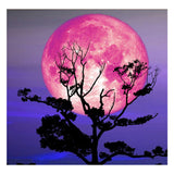 Full Diamond Painting kit - Big moon