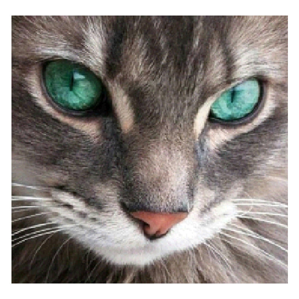 Full Diamond Painting kit - Cat