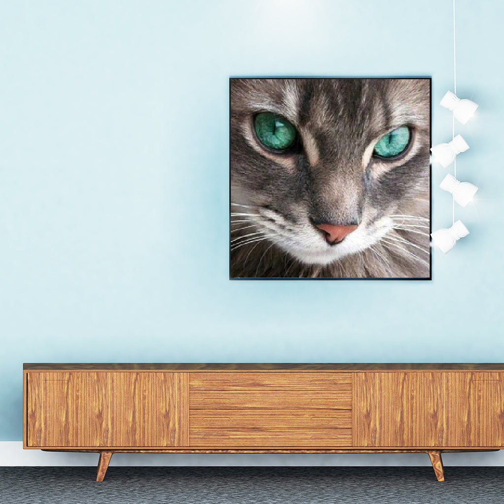 Full Diamond Painting kit - Cat