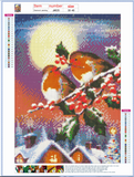Full Diamond Painting kit - Robin at Christmas