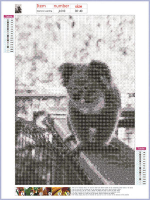 Full Diamond Painting kit - Cute koala