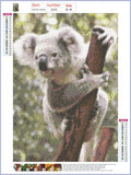 Full Diamond Painting kit - Cute koala