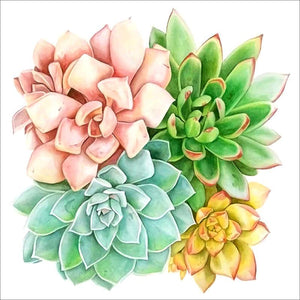 Full Diamond Painting kit - Succulent plants