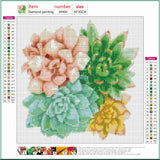 Full Diamond Painting kit - Succulent plants