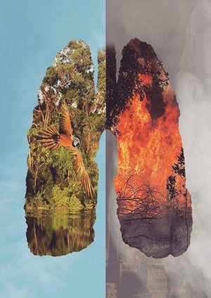 Full Diamond Painting kit - Save the planet