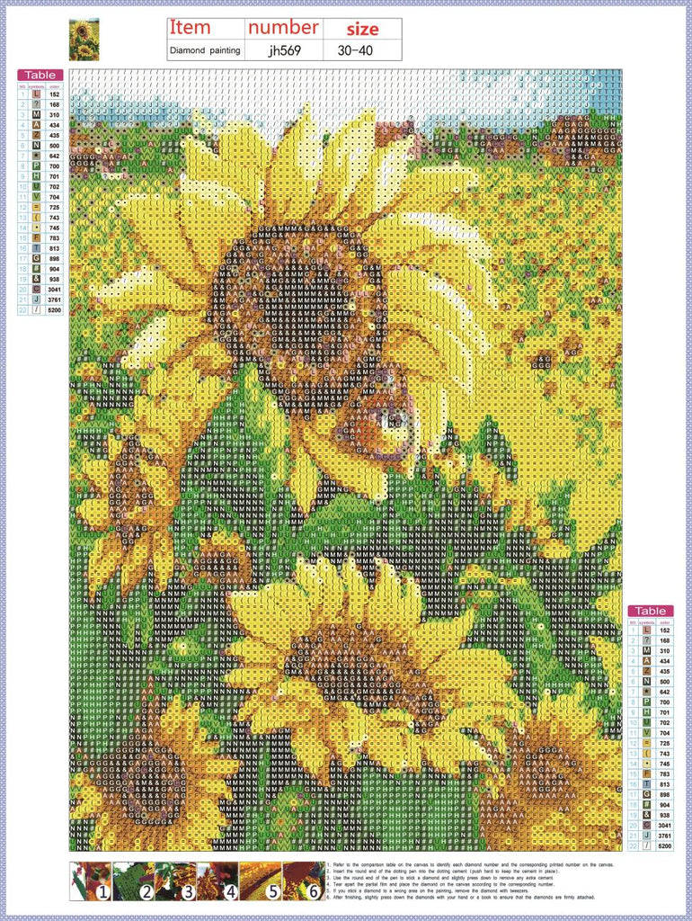 Full Diamond Painting kit - Beautiful sunflower