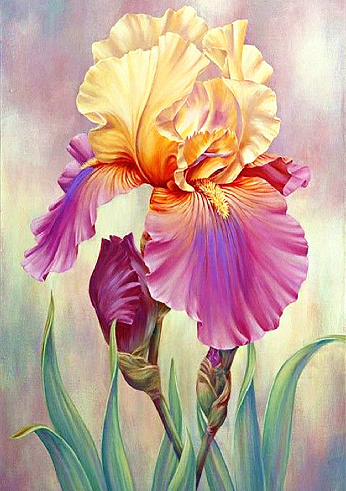 Full Diamond Painting kit - Beautiful flower