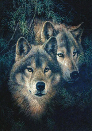 Full Diamond Painting kit - Two wolves