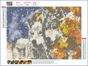 Full Diamond Painting kit - Two wolves