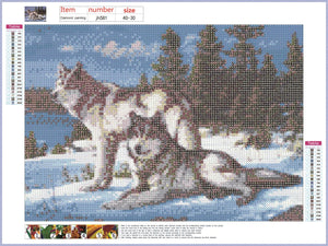 Full Diamond Painting kit - Two wolves