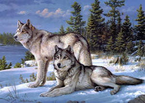 Full Diamond Painting kit - Two wolves