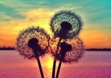 Full Diamond Painting kit - Romantic dandelion