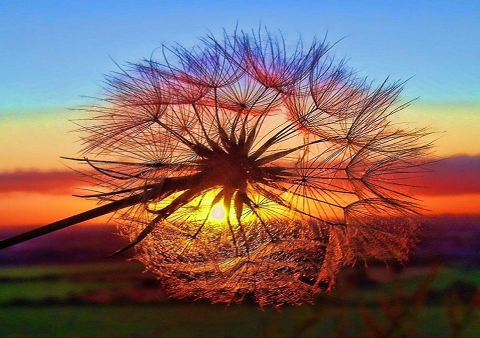 Full Diamond Painting kit - Romantic dandelion