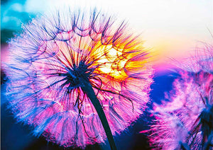 Full Diamond Painting kit - Romantic dandelion