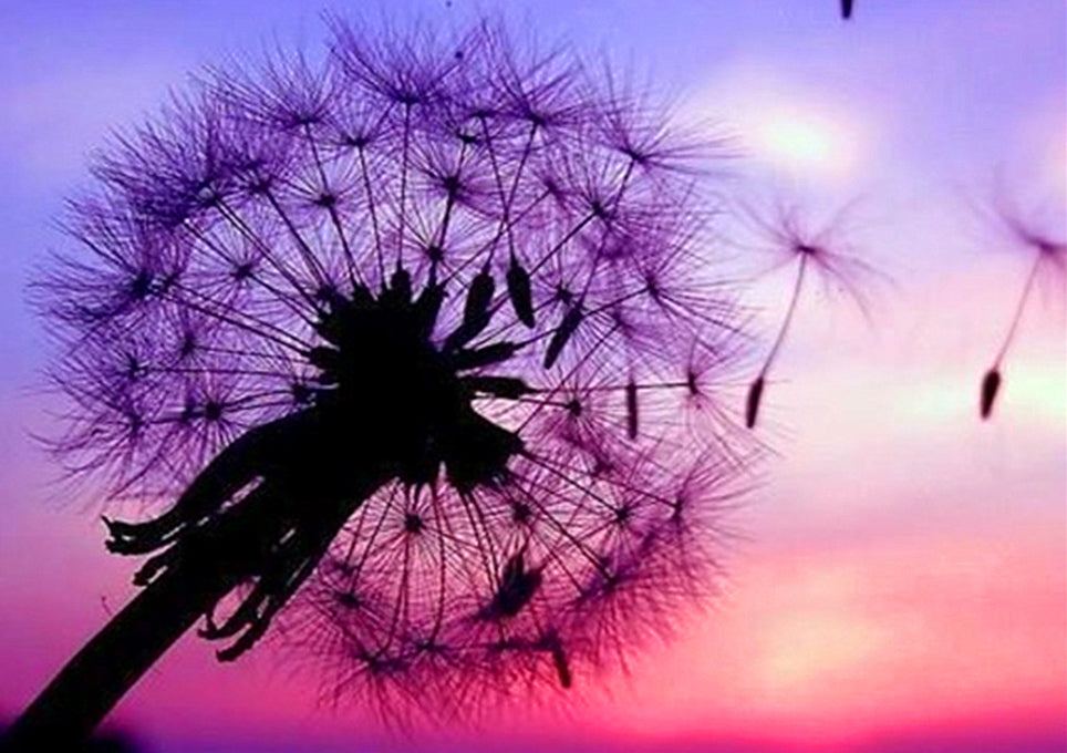 Full Diamond Painting kit - Romantic dandelion