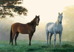Full Diamond Painting kit - Two horses