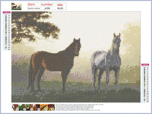 Full Diamond Painting kit - Two horses