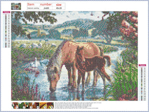 Full Diamond Painting kit - Horses family