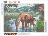 Full Diamond Painting kit - Horses family