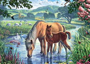 Full Diamond Painting kit - Horses family