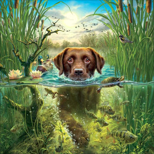 Full Diamond Painting kit - Swimming dog