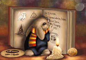 Full Diamond Painting kit - Cute bunny