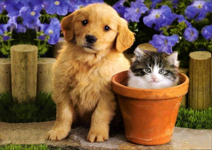 Full Diamond Painting kit - Cute animals a cat and a dog
