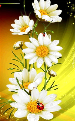 Full Large Diamond Painting kit - White daisy