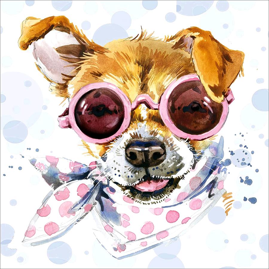 Full Diamond Painting kit - Color dog