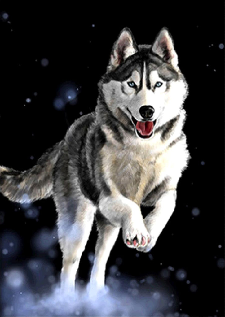 Full Diamond Painting kit - Husky